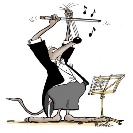 Barry the Shrew, the festival mascot, tunes up © Roger Penwill