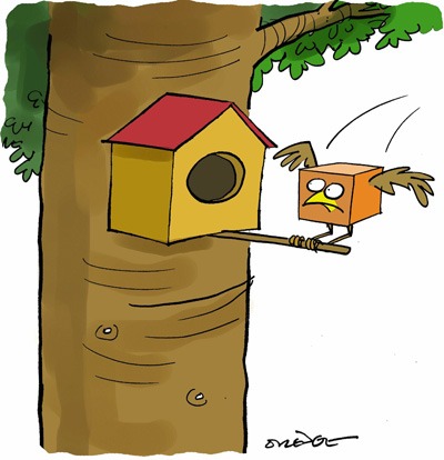 Pete Dredge birdbox cartoon